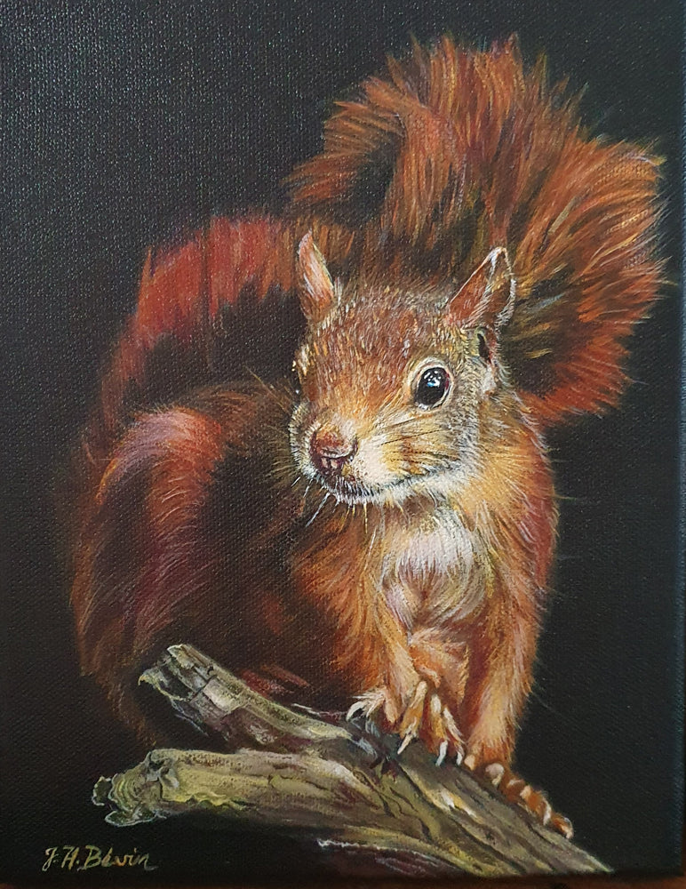 Archimedes the Squirrel