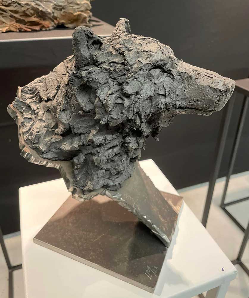 Etude de loup noir