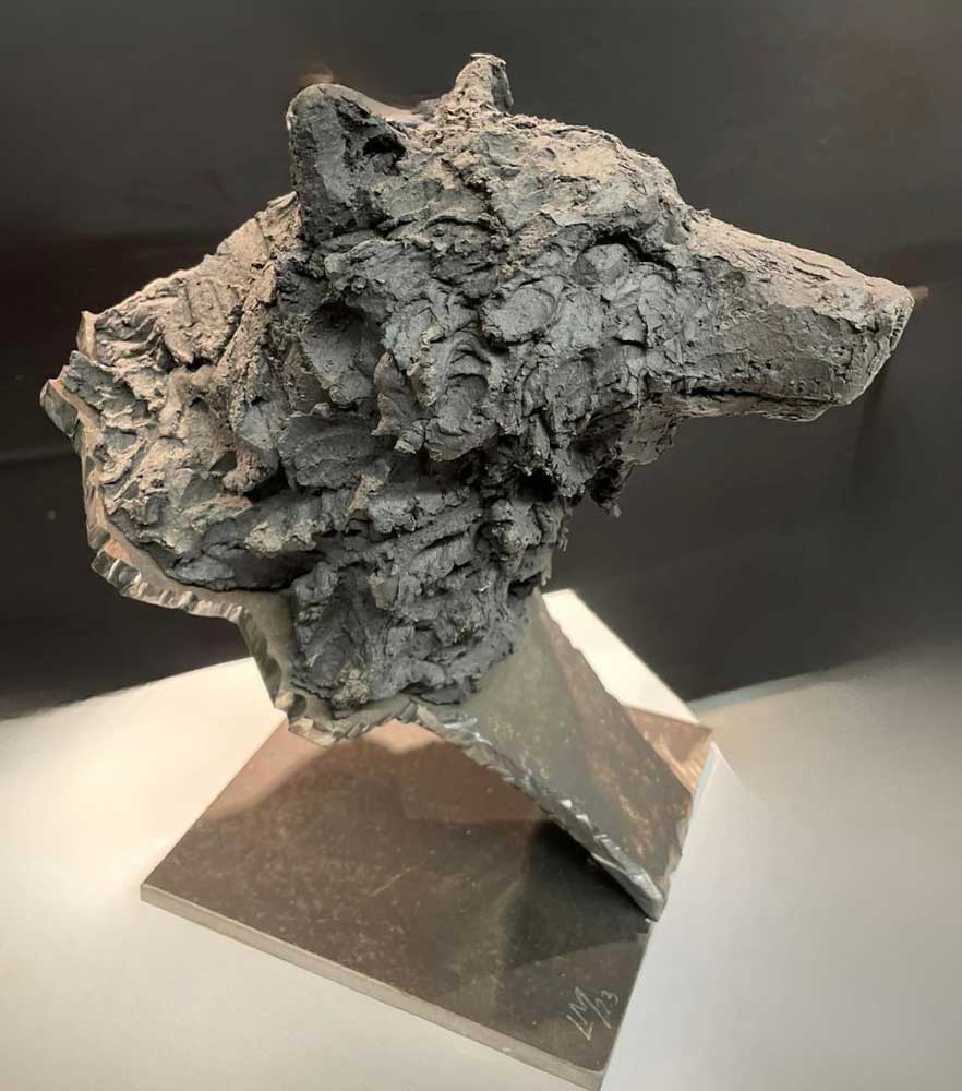 Etude de loup noir
