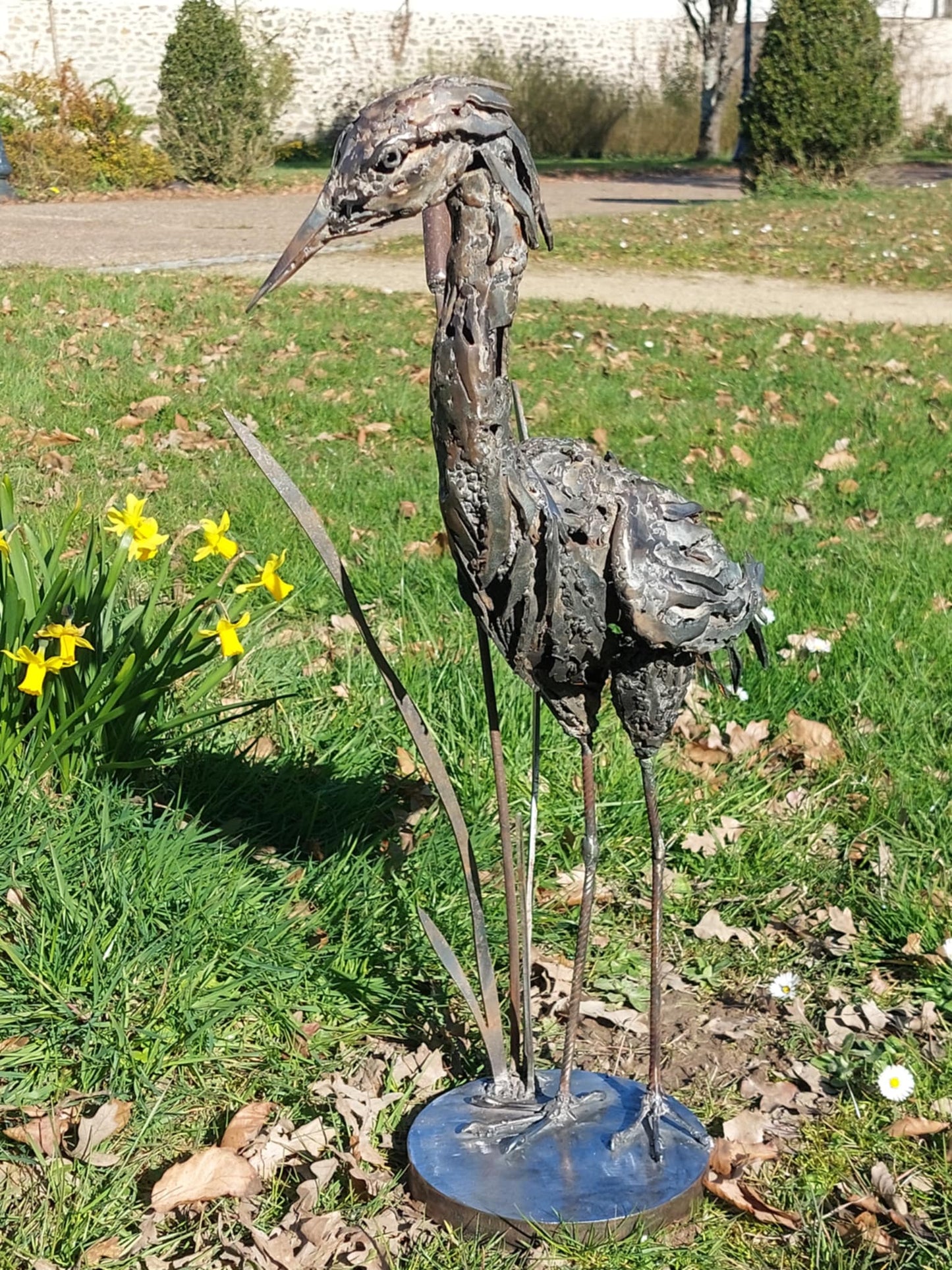 Faune locale
