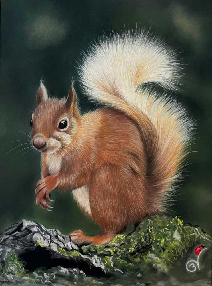 Furtif