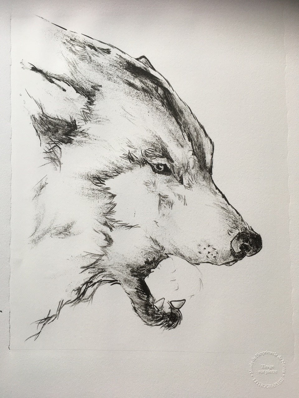 Dans la gueule du loup -V