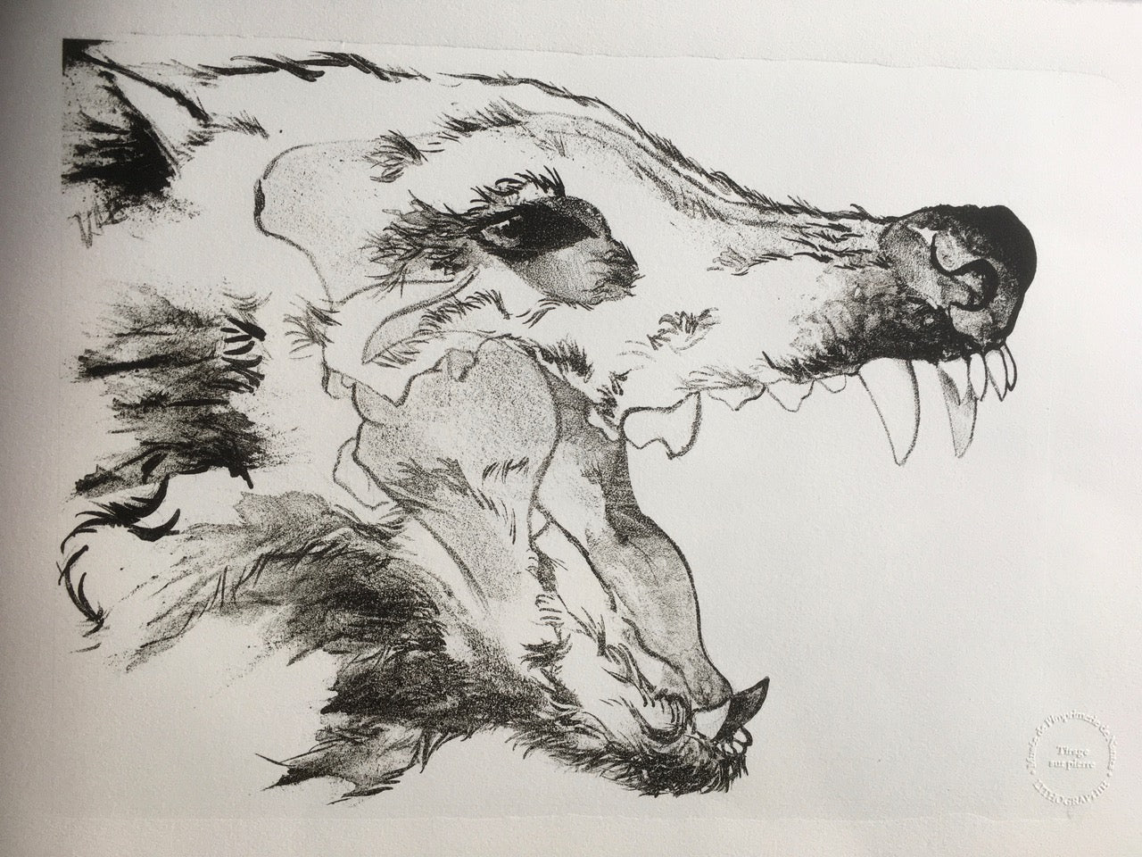 Dans la gueule du loup-VI