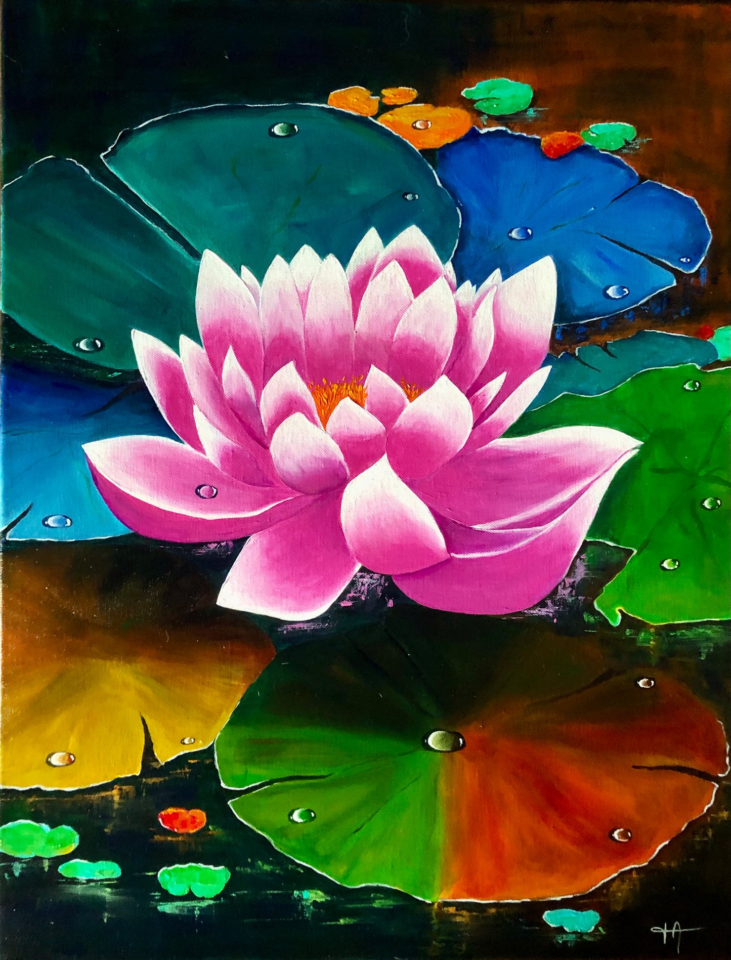 Water lily