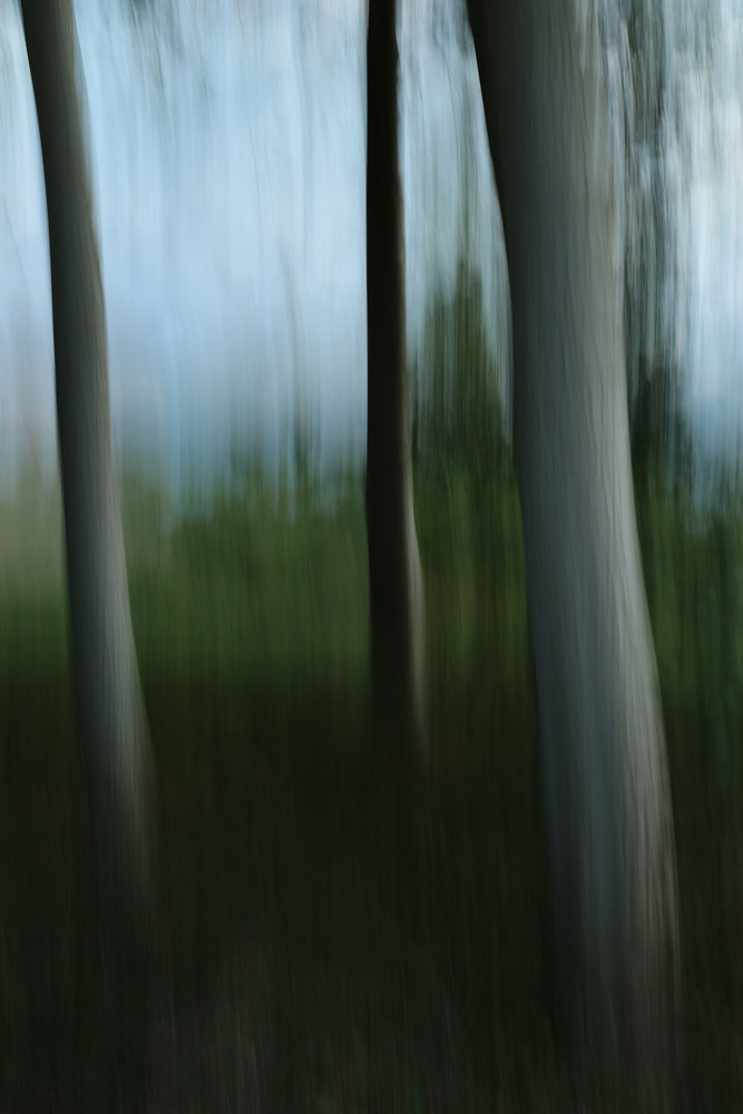 Série Trans-Figuration - Photographie 5272