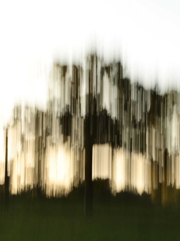 Trans-Figuration Series Photography 6468
