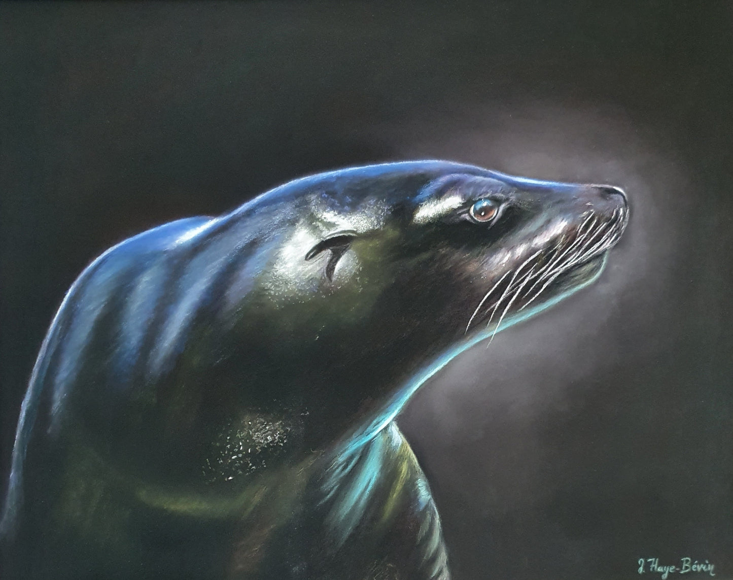 Eriota the sea lion
