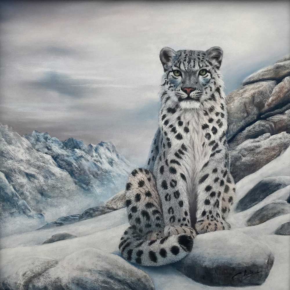 The Snow Leopard