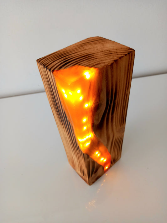 Bois en feu