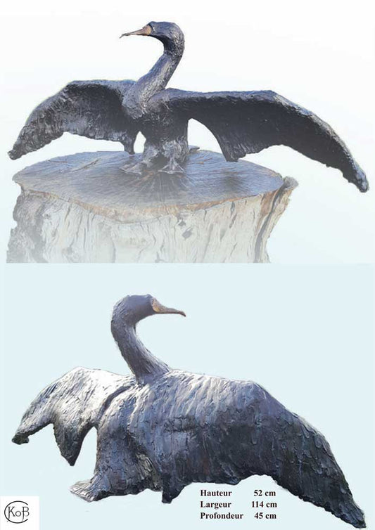 Great cormorant