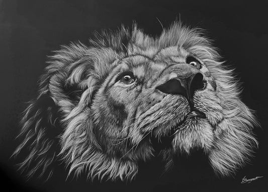 Regard Royal