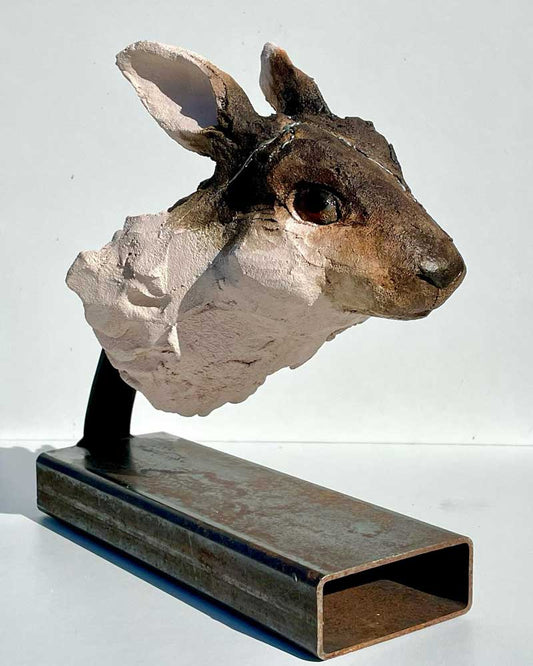 This morning, a rabbit...