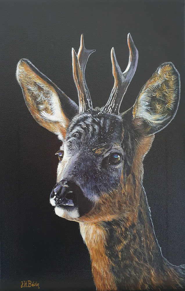 Chester the deer