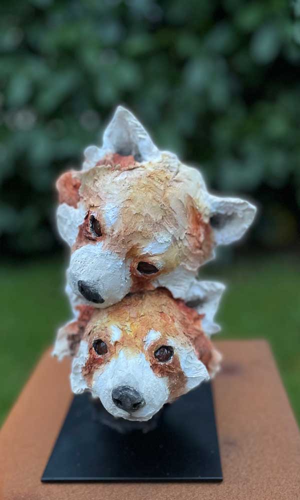 Pair of red pandas