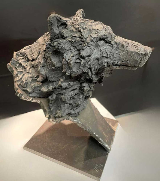 Etude de loup noir