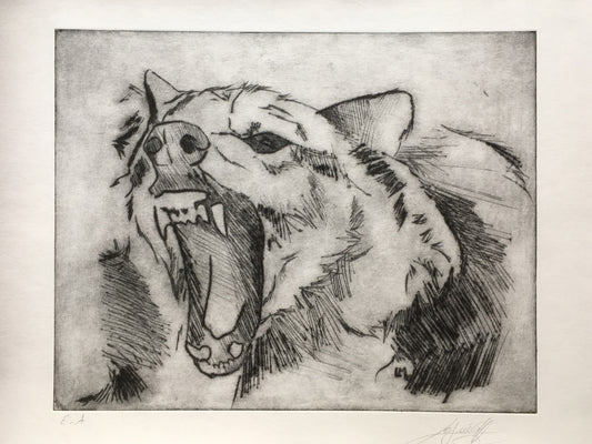 Into the jaws of the wolf-I