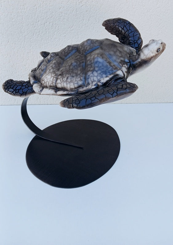 La Vague Tortue marine