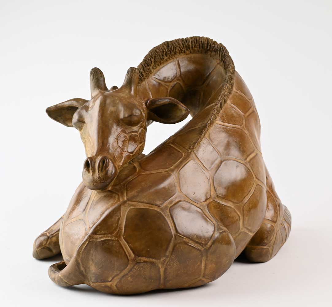 Le repos de la girafe