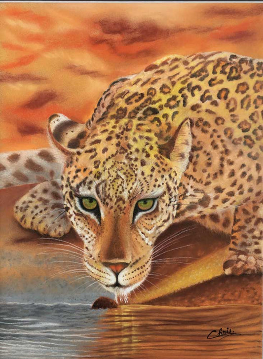 Leopard at sunset