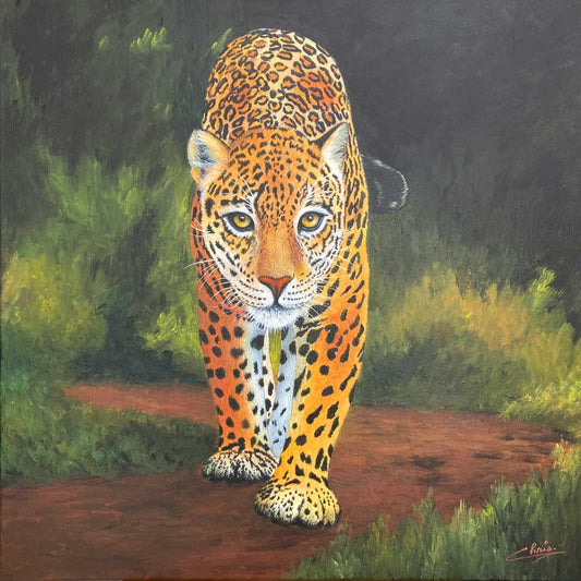Lone Leopard