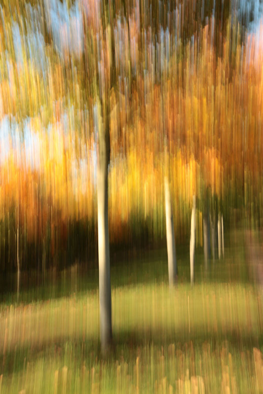 Série Trans-Figuration - Photographie 7027