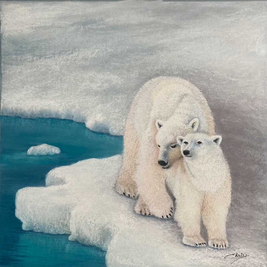 The Protective Bear