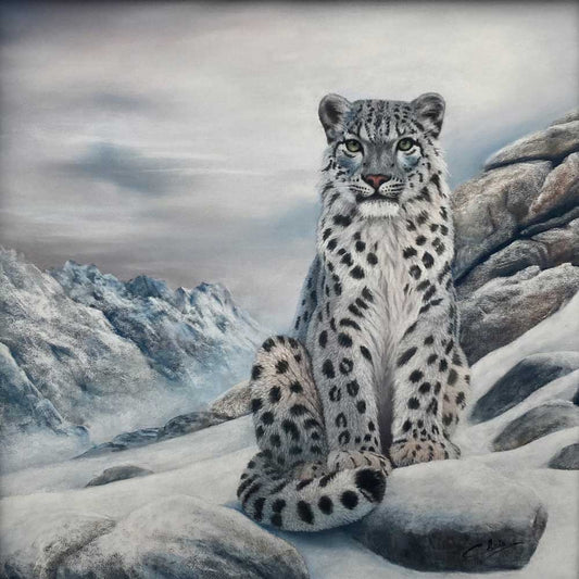 The Snow Leopard