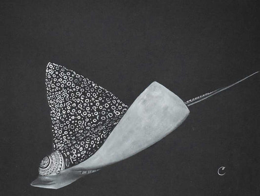 Tribal ray