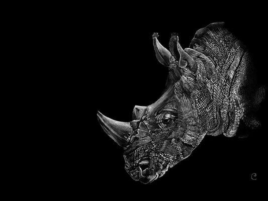 Rhinoceros