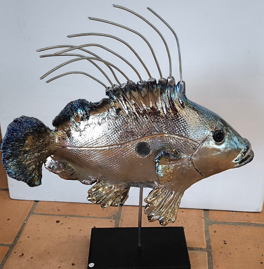 POISSON SAINT-PIERRE