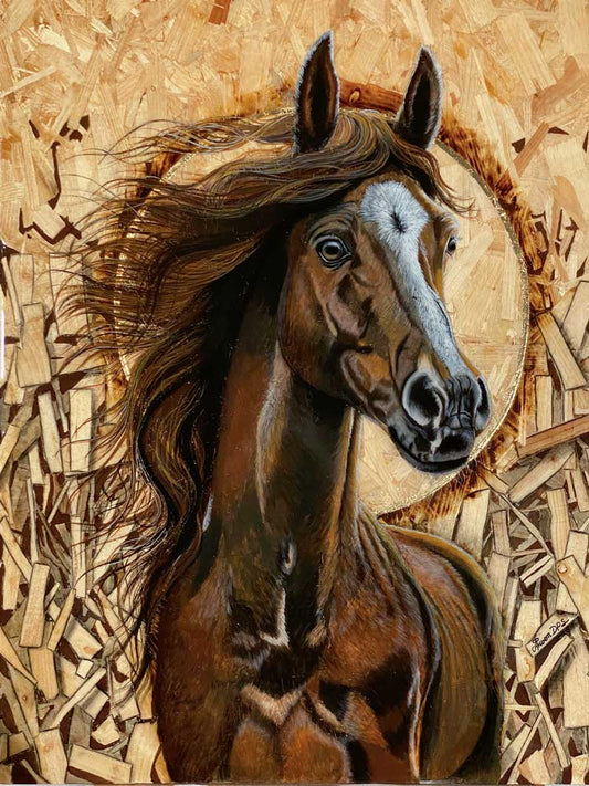 Zephyr son of the wind