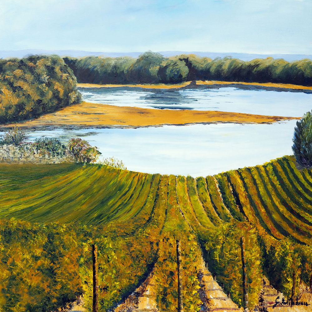 Vignoble du Saumurois - 80 cm x 80 cm