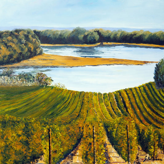 Saumur vineyard - 80 cm x 80 cm
