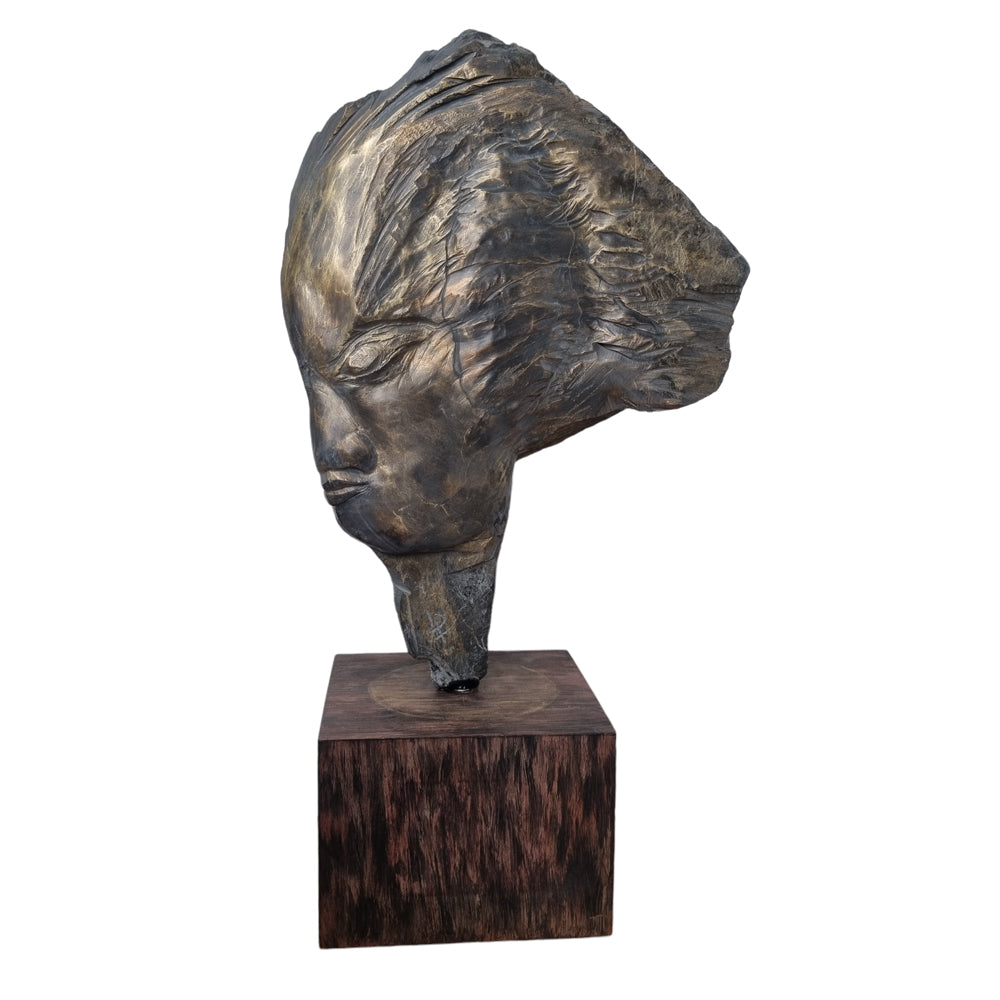 Cheveux au vent